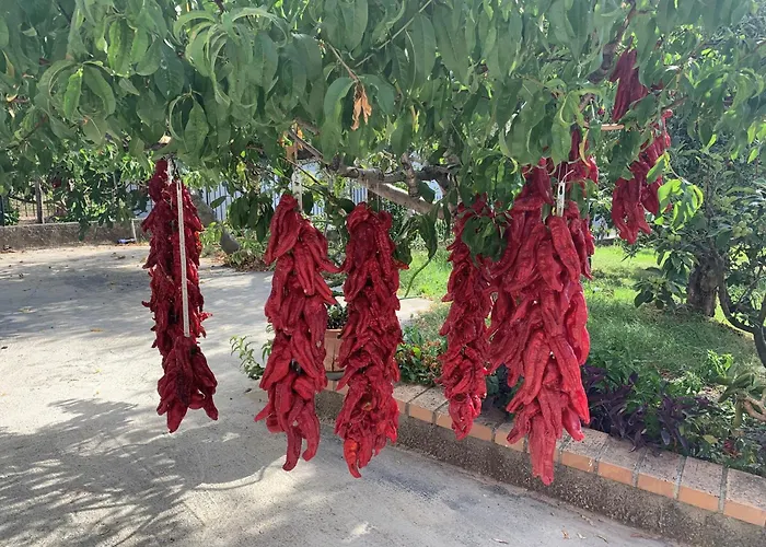 Caput Mundi-calabria 住宿加早餐酒店