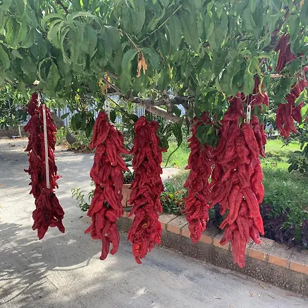 Caput Mundi-calabria Bed and breakfast