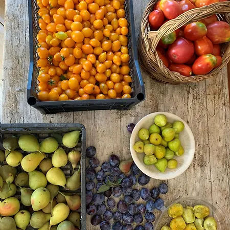 Caput Mundi-calabria 3*